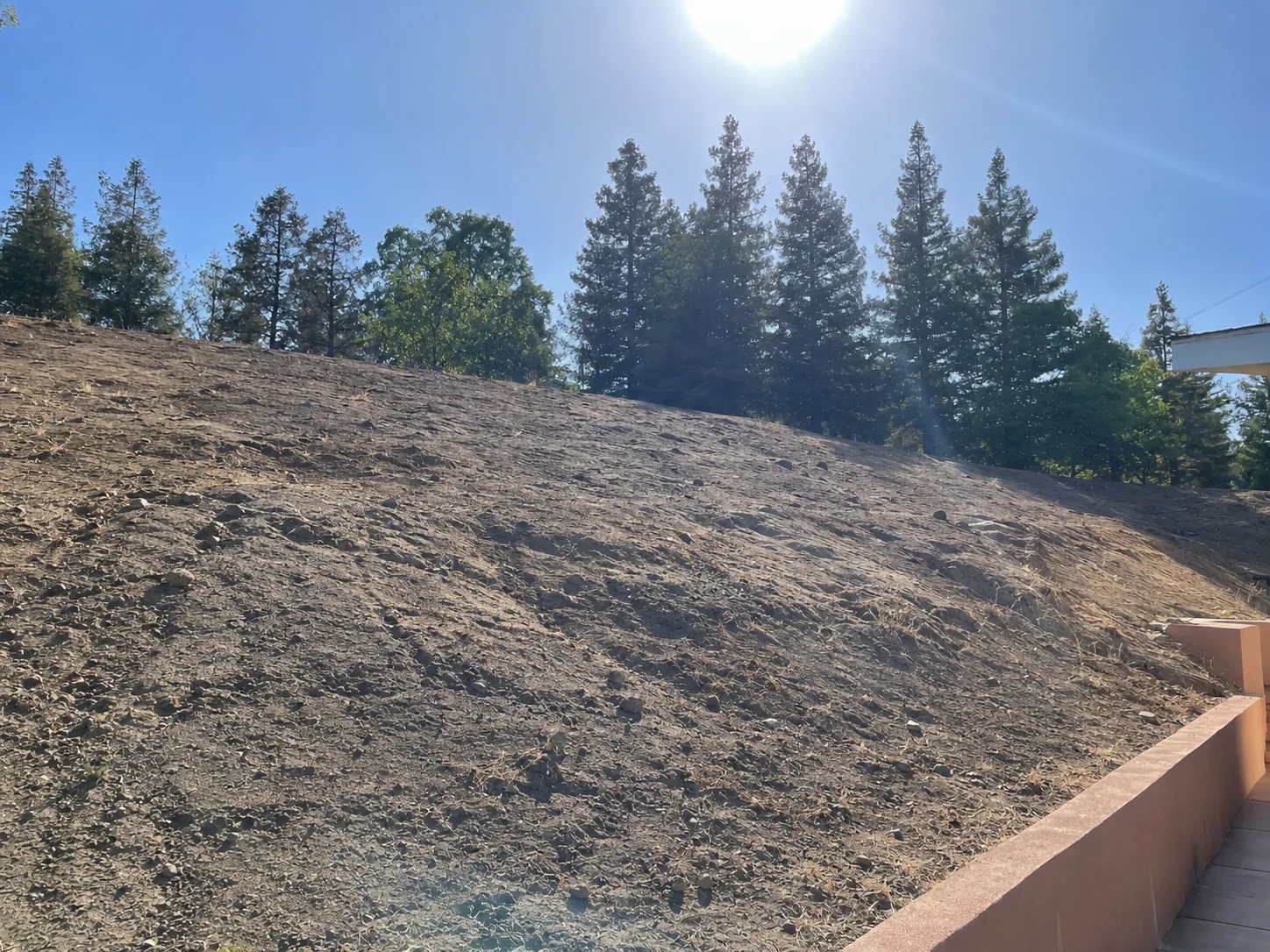 The original Fremont backyard before construction, with a broad bare hillside rising toward mature trees.