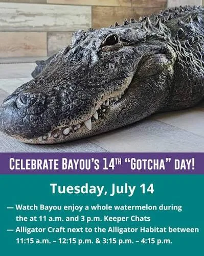 A Happy Hollow announcement celebrating Bayou’s fourteenth Gotcha Day.