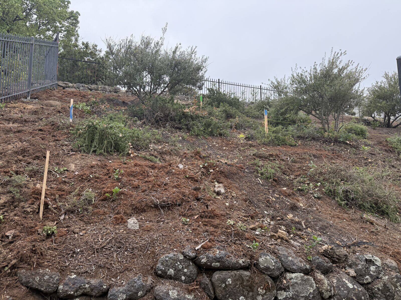 The undeveloped hillside before the new circulation and destinations were built.